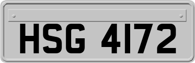 HSG4172