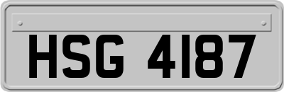HSG4187
