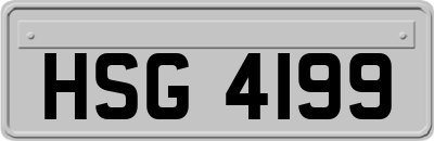 HSG4199
