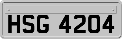 HSG4204