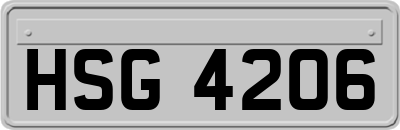 HSG4206