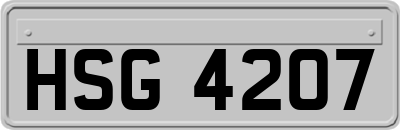 HSG4207