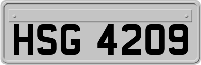 HSG4209