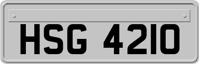 HSG4210