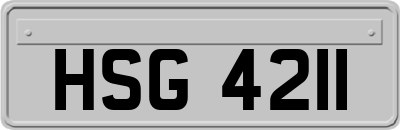 HSG4211