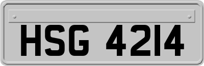 HSG4214