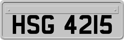 HSG4215