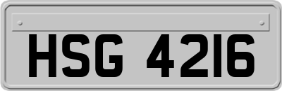 HSG4216