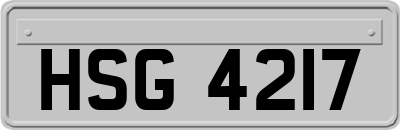 HSG4217