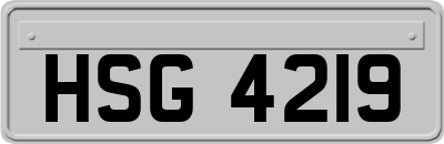 HSG4219