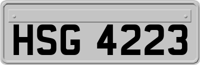 HSG4223