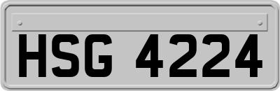 HSG4224