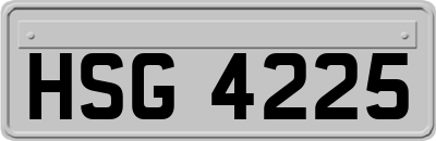 HSG4225