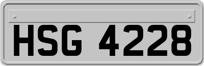HSG4228