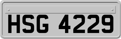 HSG4229