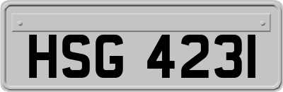 HSG4231