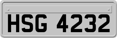 HSG4232