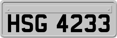 HSG4233
