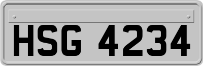 HSG4234