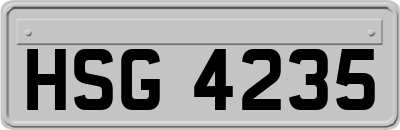 HSG4235