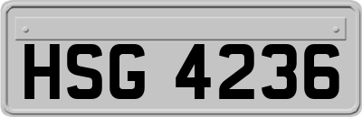 HSG4236