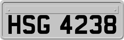 HSG4238