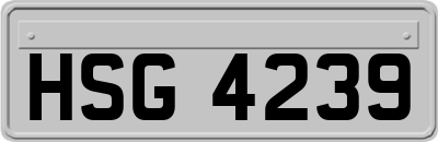 HSG4239