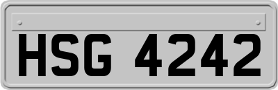 HSG4242