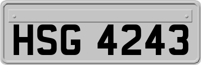 HSG4243