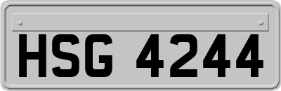 HSG4244
