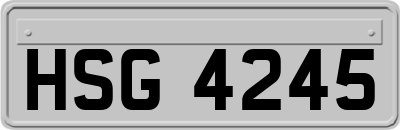 HSG4245