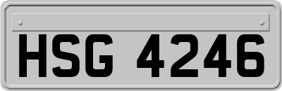 HSG4246