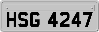 HSG4247