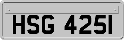 HSG4251