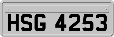 HSG4253