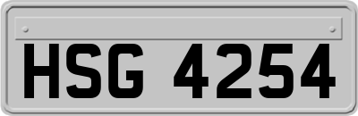 HSG4254