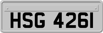 HSG4261
