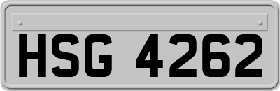 HSG4262
