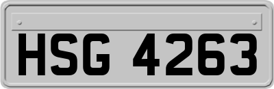 HSG4263