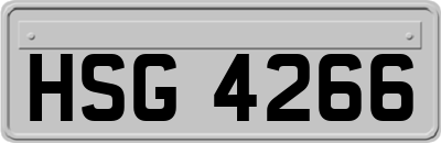 HSG4266