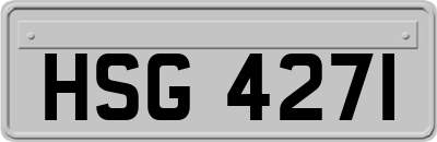 HSG4271