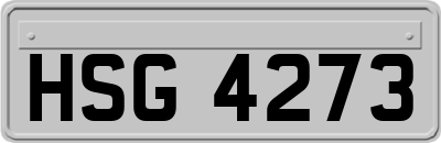 HSG4273