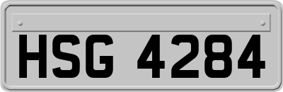 HSG4284