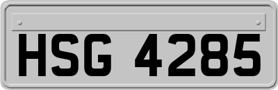HSG4285