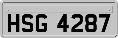 HSG4287