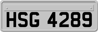 HSG4289
