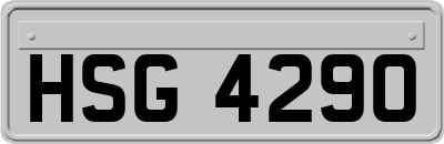 HSG4290