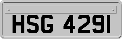 HSG4291