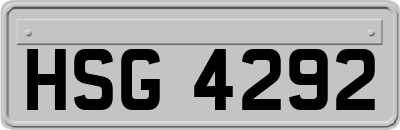 HSG4292