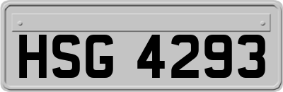 HSG4293